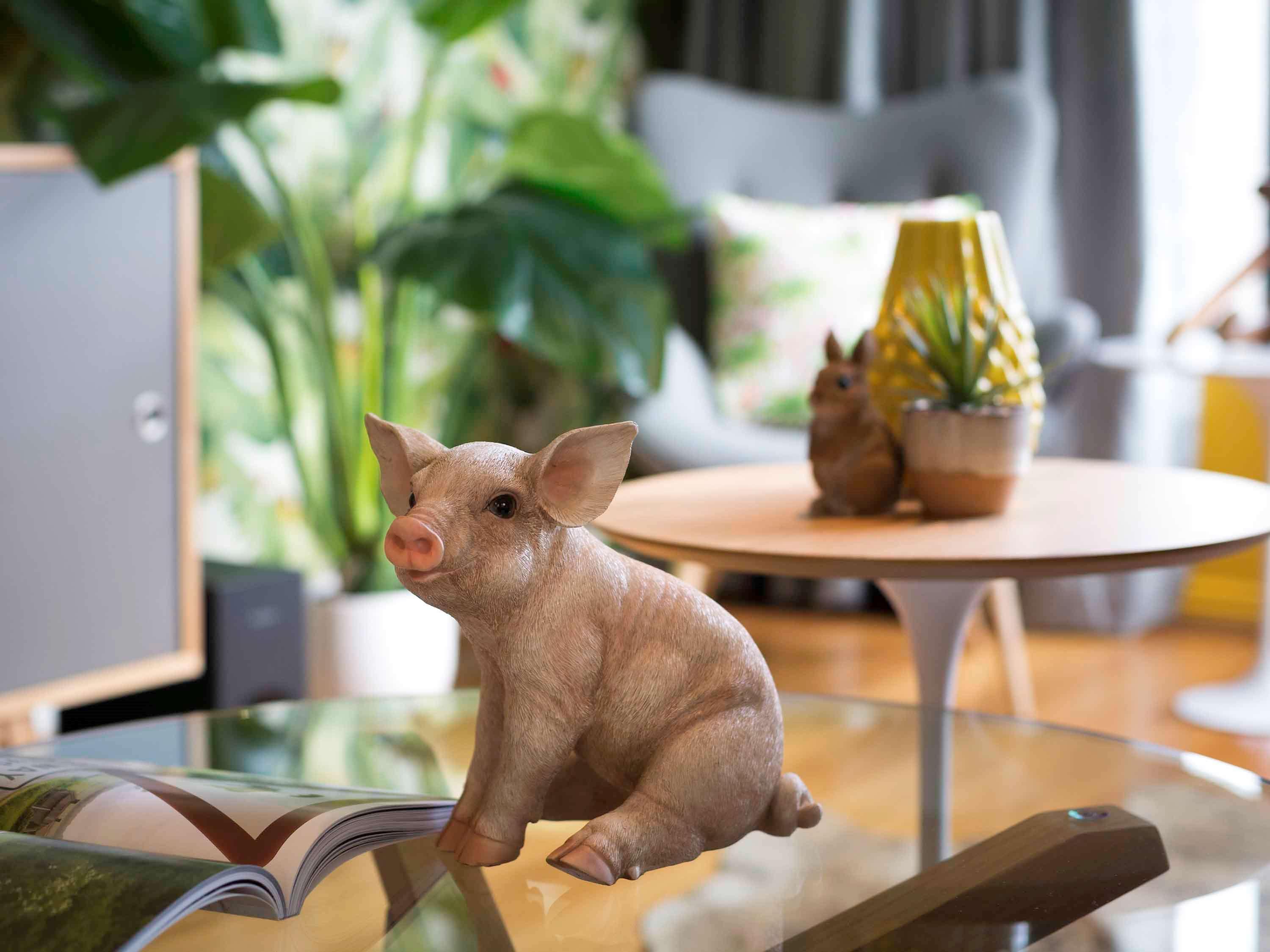 Pullman Sydney Hyde Park Hotel Luaran gambar A piglet